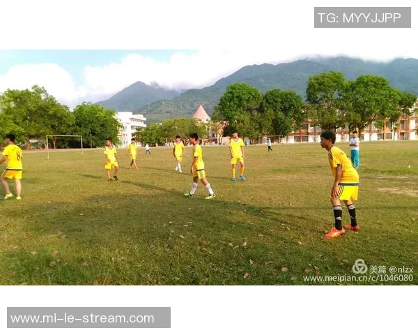 足球员跳水现象引发热议球场上演戏剧性瞬间与体育精神的碰撞