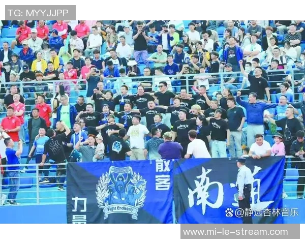 足球场上的歌 足球场上的歌